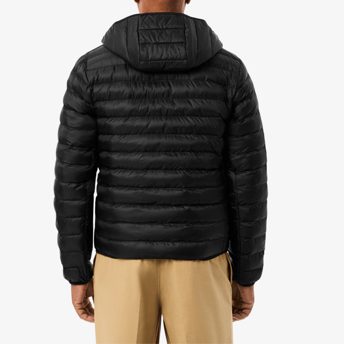 Thermore® Hooded Puffer Jacket (Limited Stock) - Vallum
